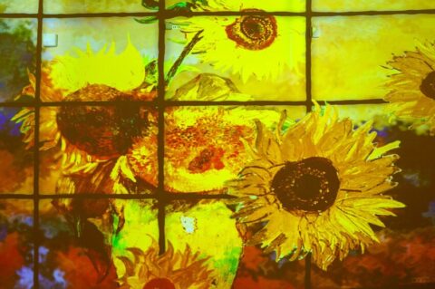 Иммерсивная мультимедийная выставка «Быть Ван Гогом» на ВДНХ