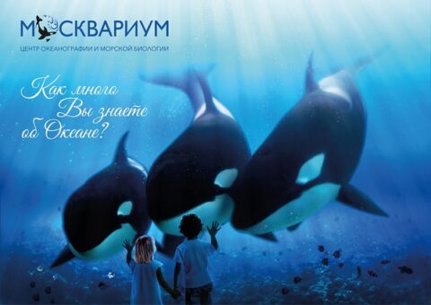 Москвариум — самый крупный в Европе Океанариум