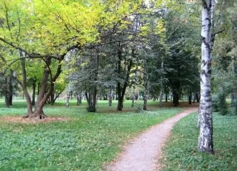 Парк «Березовая роща»