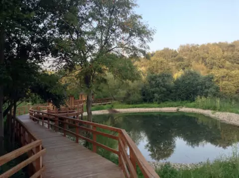 Природный парк «Куркино»