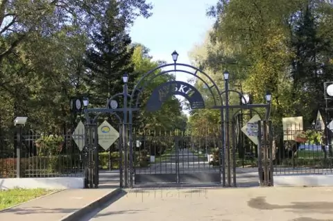 Парк Дубки