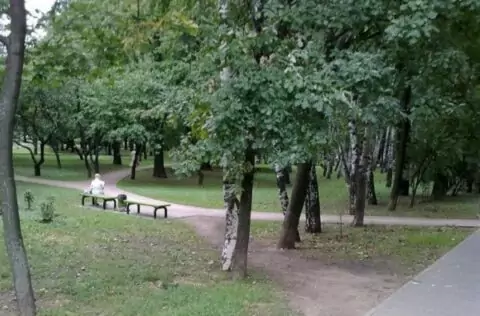 Парк «Северные дубки»