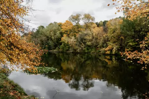 Мероприятия в выходные 25 и 26 октября в парках Москвы