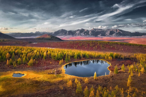 Общероссийский фестиваль природы «Первозданная Россия»