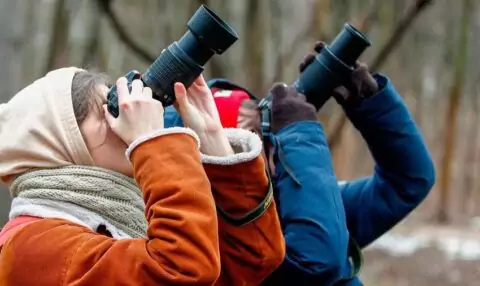 В «Царицыно» пройдет кубок столицы по спортивной орнитологии «Весна-2026»