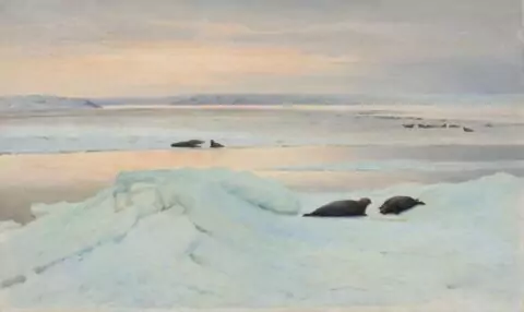 Выставка «Арктика. Полюс цвета»