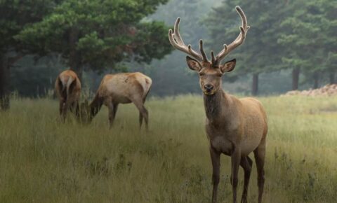 X Международный фестиваль научно-популярного кино «Разумный кинематограф»