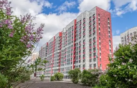 Реновация в Москве, отзыв участника