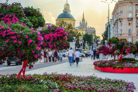 Фестиваль городского ландшафтного дизайна «Лето в Москве. Сады и цветы»