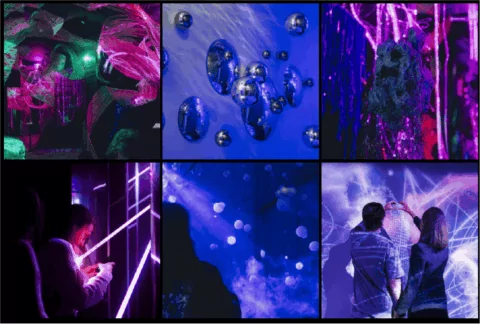 Иммерсивная выставка «SENSE. Почувствуй стихии»