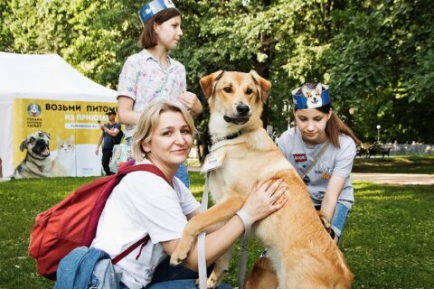 Фестиваль «Собаки, друзья и человеки»