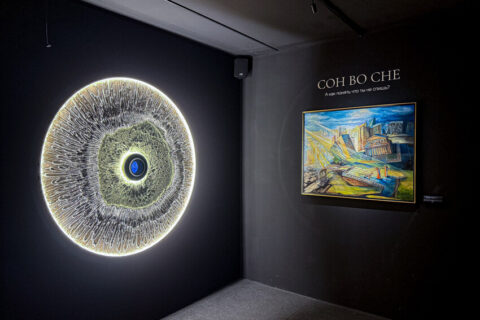 Инновационная мультисенсорная выставка «Сон в музее»