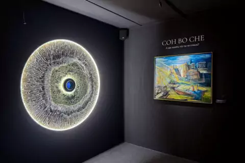 Инновационная мультисенсорная выставка «Сон в музее»