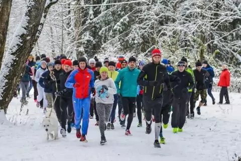 Международное беговое движение parkrun в Москве