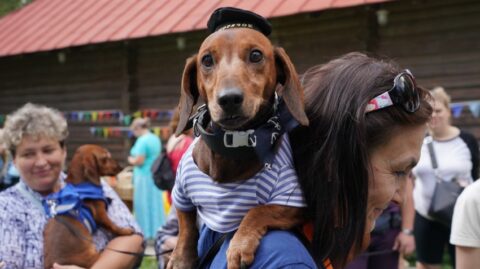 Всероссийский фестиваль «Таксы Чехова»