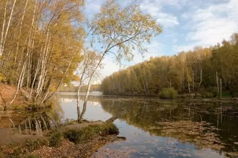 Тропаревский парк