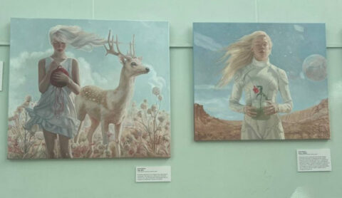 Выставка «Устойчивость: что такое быть разумным с точки зрения природы»