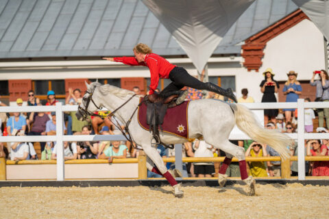 Чемпионат мира по джигитовке