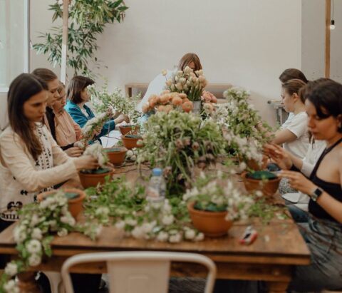 Veter Spring Fest 2024