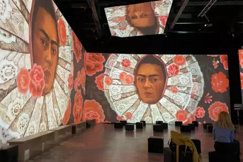 Выставка «Фрида. Viva la vida!»