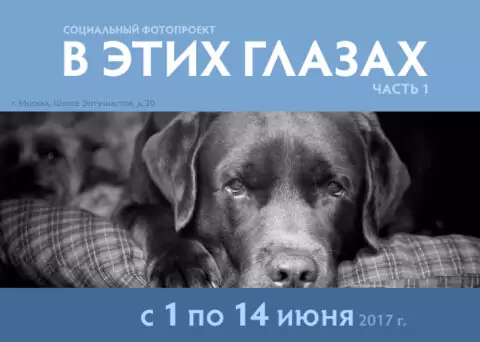 Выставка фотографии «В этих глазах»
