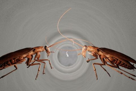 VR-выставка «Психоз»