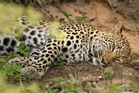 Фотовыставка «Africa. In-and-Out»