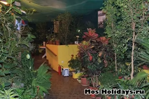 Выставка тропических бабочек на ВДНХ (закрыта)