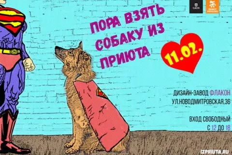 Благотворительная выставка-пристройство бездомных животных из приюта Бирюлёво