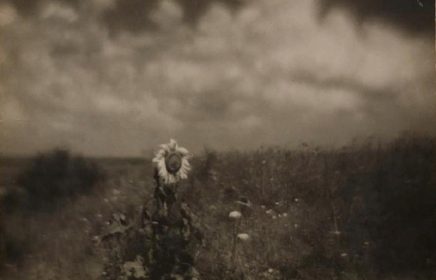 Выставка «Фотограф Николай Андреев. Мастер пикториализма»
