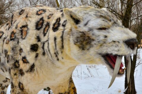 ICE Парк в «Сказке»