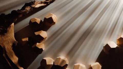 Мультисенсорная выставка «Икигай: искусство жить»