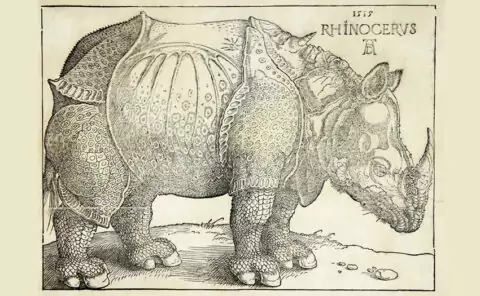 Выставка «Прекрасные чудовища»: какими «монстрами» казались экзотические животные европейским художникам