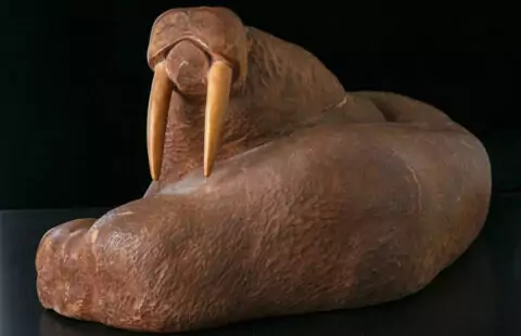 Выставка «Путешествие на Чукотку. К 90-летию Ю. Смирина»