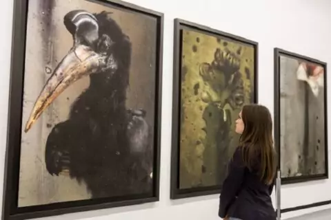 Фотовыставка «Смена состояний»