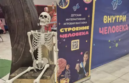 Выставка «Строение человека: Вселенная внутри нас»