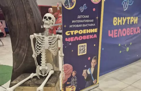 Выставка «Строение человека: Вселенная внутри нас»
