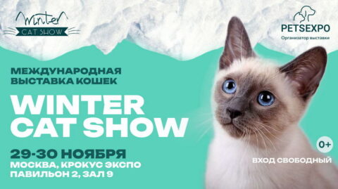 Международная выставка кошек Winter Cat Show