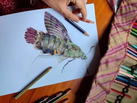 Выставка «Ярче не бывает!»