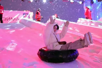 Фестиваль «Московские сани»