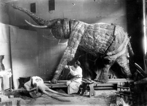 Выставка «Приключения слонов»